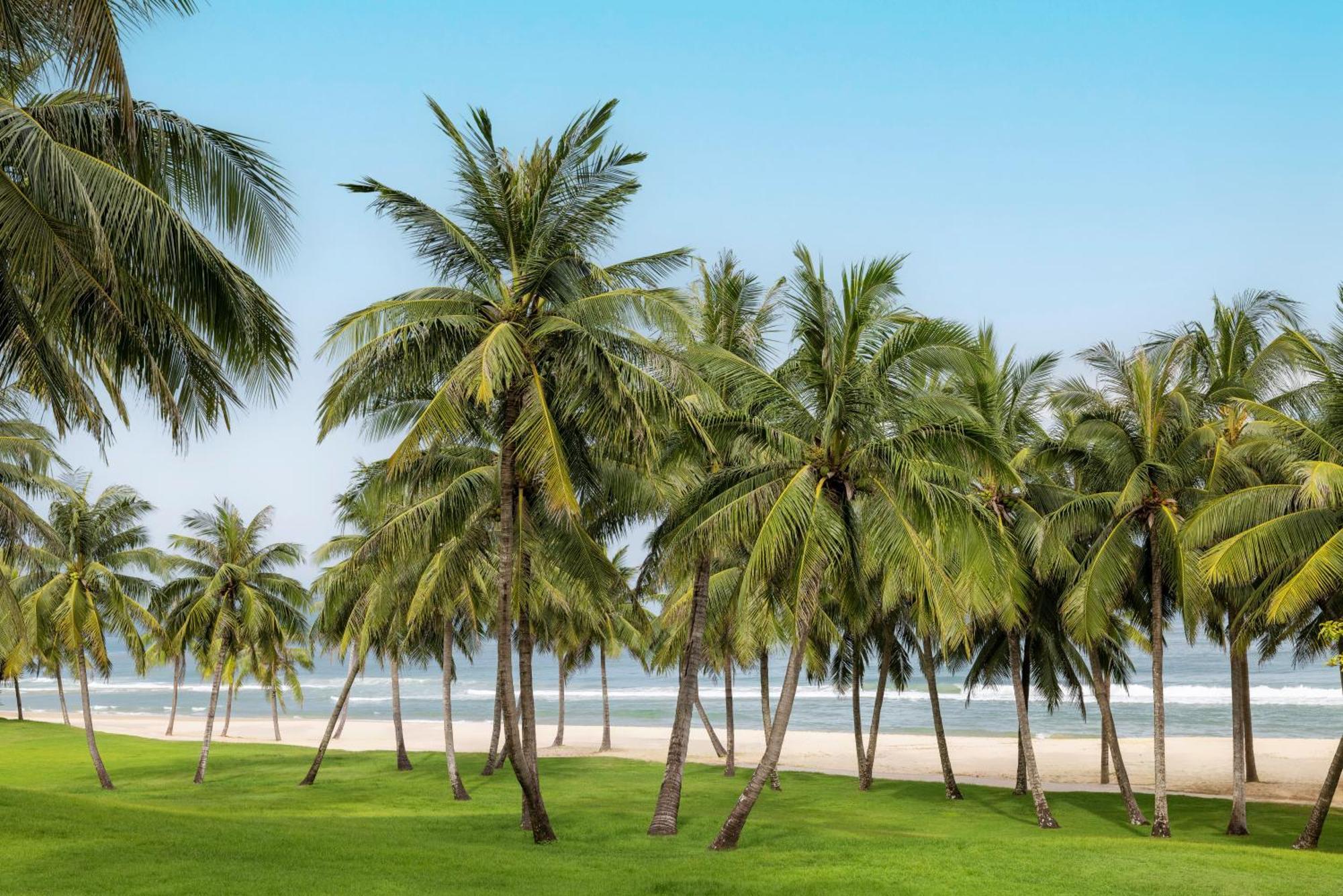 Raffles Hainan Clear Water Bay Lingshui  Екстериор снимка